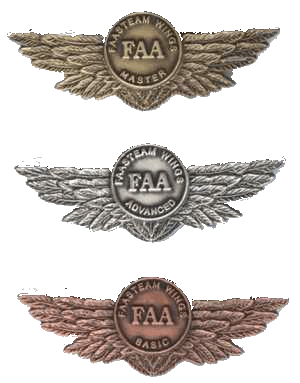 FAA Safety Team Wings